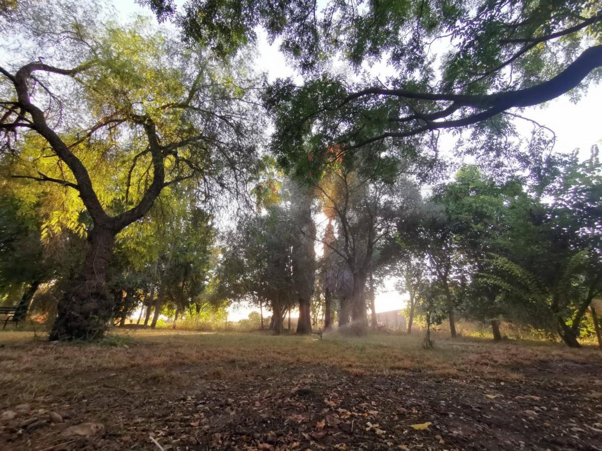 Finca El Naranjo Sevilla Kültér fotó